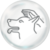 犬のしつけ教室