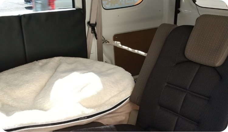 車内のペット用の席