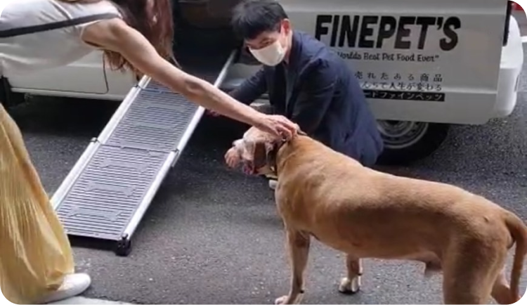 足腰が心配なペットのための乗車用スロープ