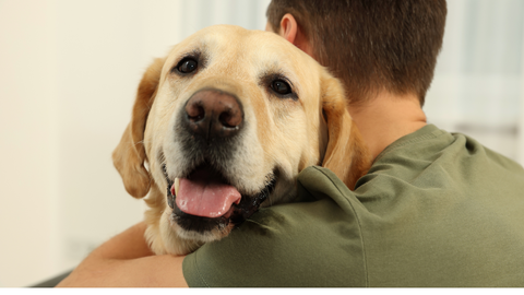 ドライバー情報1