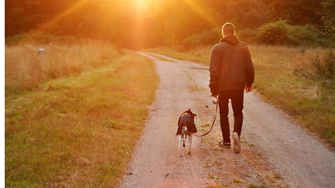 ドライバー情報2