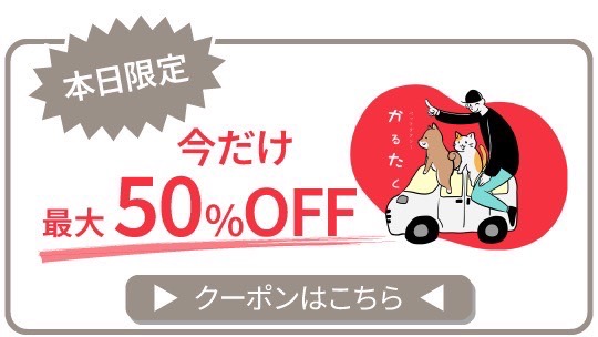本日限定今だけ最大50%offクーポンはこちらから！